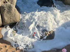 -仰口沙滩