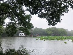 -西湖游船