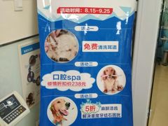 -瑞派·关忠动物医院·猫专科·犬专科(三环新城店)