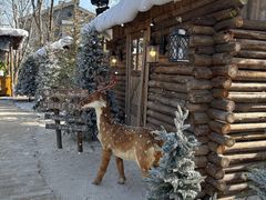 -HERRE·FARM 赫尔露营农场·团建聚会包场