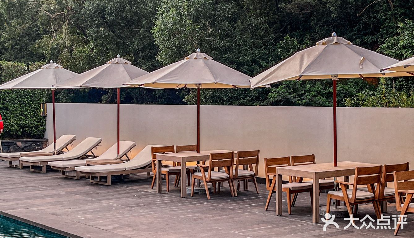 真的在广州！沉浸式美学之乐，赏庭院之景。