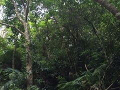 -太鲁阁公园