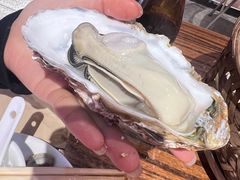 -蚝堡海鲜·威海菜·海肠捞饭·烧烤·亚洲吃蚝公司(幸福门店)