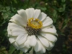 -沕沕水生态风景区