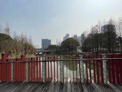 -南翔镇银翔湖公园