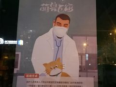 -萌兽医馆·犬猫专科·眼科中心·宠物医院(朝阳门分院)