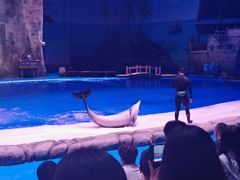 -华夏文旅海洋公园