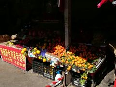 -金鸡岭农贸市场