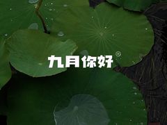 -范蠡湖公园