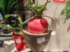 -blt精品超市(南京环宇城店)