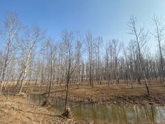 -野鸭湖国家湿地公园