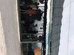 -马陆小张葡萄园农家乐