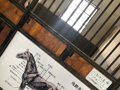 -大连凯洋马术俱乐部有限公司