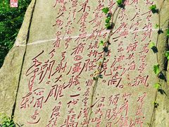 -泰山风景名胜区