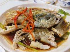-煲来饱去冷水鱼