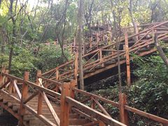 -大岭沟猕猴桃谷风景区