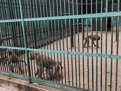 -秦皇岛野生动物园