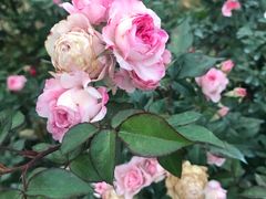 -人民公园(罗湖区)