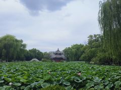 -莲池书院博物馆