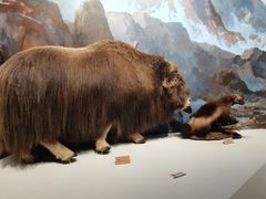 -陕西自然博物馆