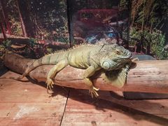 -多彩贵州城极地海洋世界