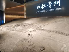 -贵州省地质博物馆