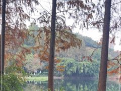-重庆彩云湖湿地公园