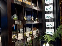 -芸山季·云南山珍菌火锅(人民广场来福士店)