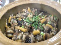 -红星光发煲仔饭(文海店)
