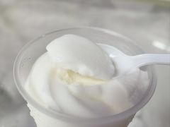 -洪馨椰子