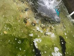 -朕悦鹧鸪饭私房菜