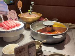 -巴奴毛肚火锅(邯郸美乐城店)