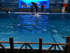 -锦艺城海洋馆