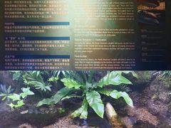 -上海海洋水族馆