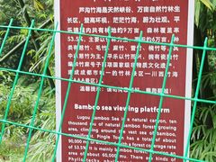 -芦沟竹海