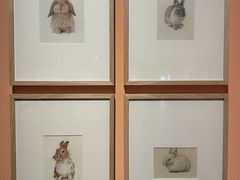 -江苏省美术馆(长江路新馆)