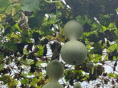 -姥家大锅台水库渔家