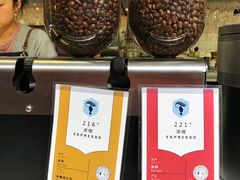 -Torch Coffee 炬点咖啡