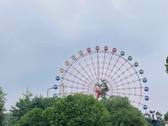-南湖梦幻岛