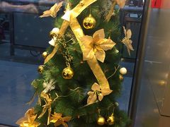 -1点点(银座和谐广场店)