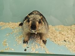 -FAIRYLAND龙族星球主题餐厅(凯丹广场店)