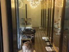 -猫大福·Fortune Cat猫舍(百子湾店)