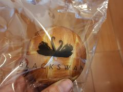 -BLACKSWAN黑天鹅(环球店)