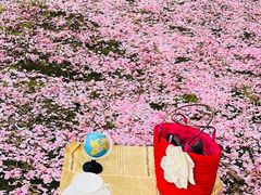 -苏州河梦清园环保主题公园