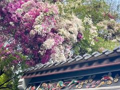 -深圳国际园林花卉博览园