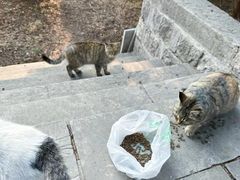 -四门塔风景区