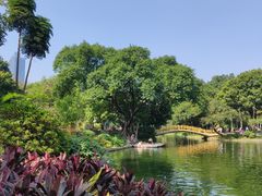 -晓港公园