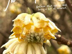 -幕燕滨江·长江观音景区