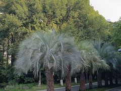 -苏州河梦清园环保主题公园