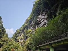 -碧峰峡风景区